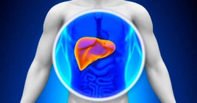 Türkiye'de her 100 kişiden 30'unda var! Karaciğer yağlanması bunlara yol açabilir