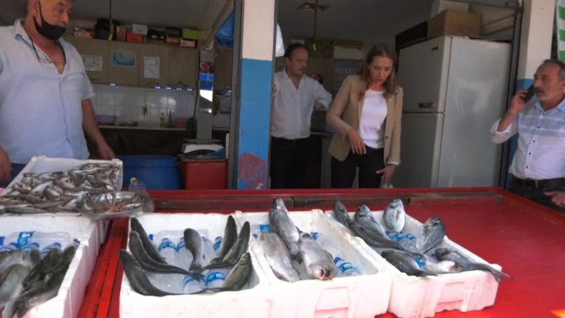 Giresun'da vatandaş CHP'li vekile dert yandı! 'AKP’ye kayıtlı olmanız lazım, çocuklarınız işe girsin'