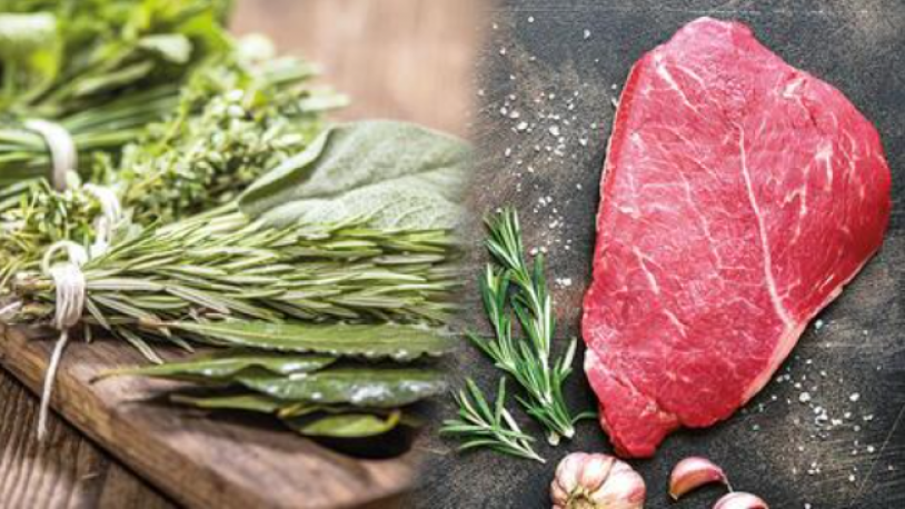 Prof. Dr. Osman Müftüoğlu yanıtladı: Et mi, ot mu yemeliyiz?