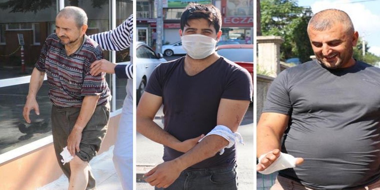 Kurban Bayramı'nda "acemi" kasaplara uyarı!