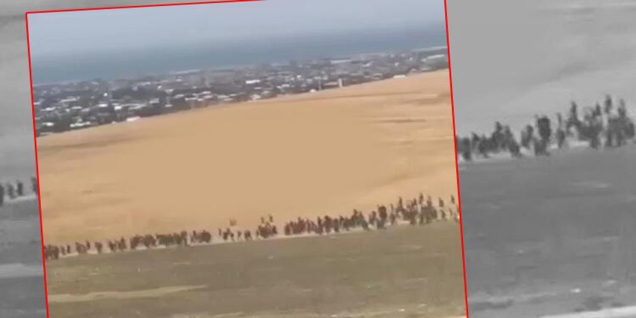 Sosyal medyada çok konuşulmuştu... Valiliği açıkladı: 1456 göçmen yakalandı!