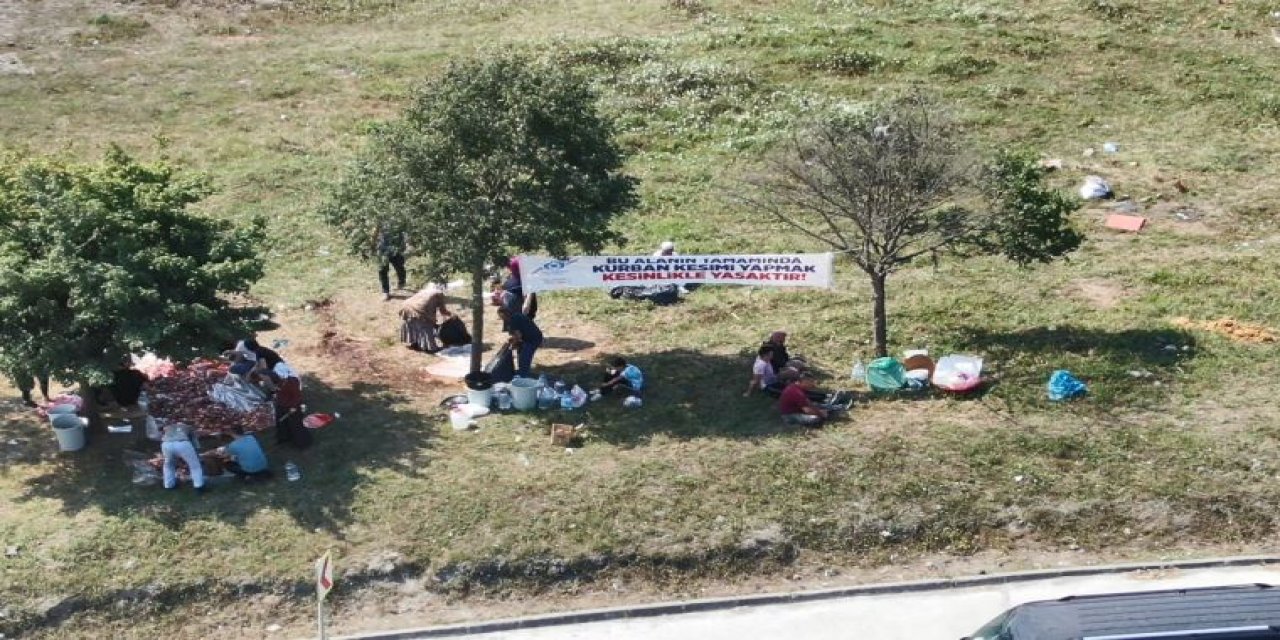 Yine uyarılar dikkate alınmadı! "Bu alanda kesim yasak" afişinin altında "kurban kestiler"