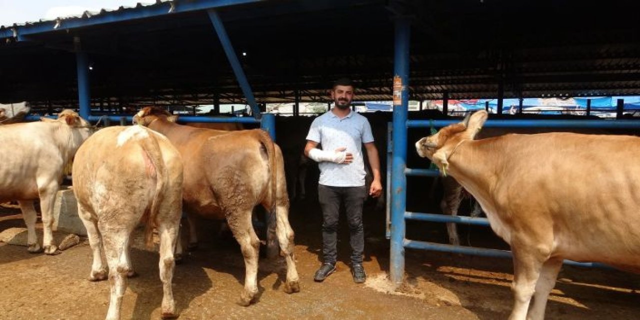 Kıran kırana pazarlık... Akılalmaz olay: Kurban pazarlığı sırasında kolu çatladı!