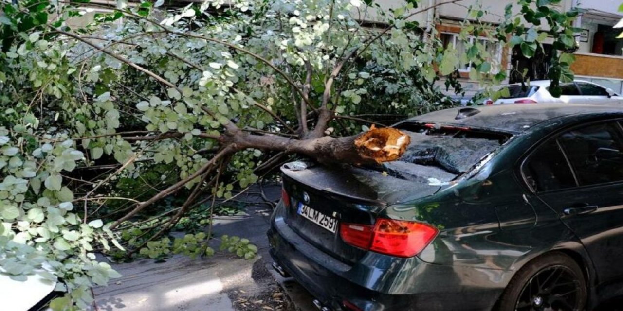 Ünlü oyuncuya büyük şok! Lüks aracının üzerine ağaç devrildi!