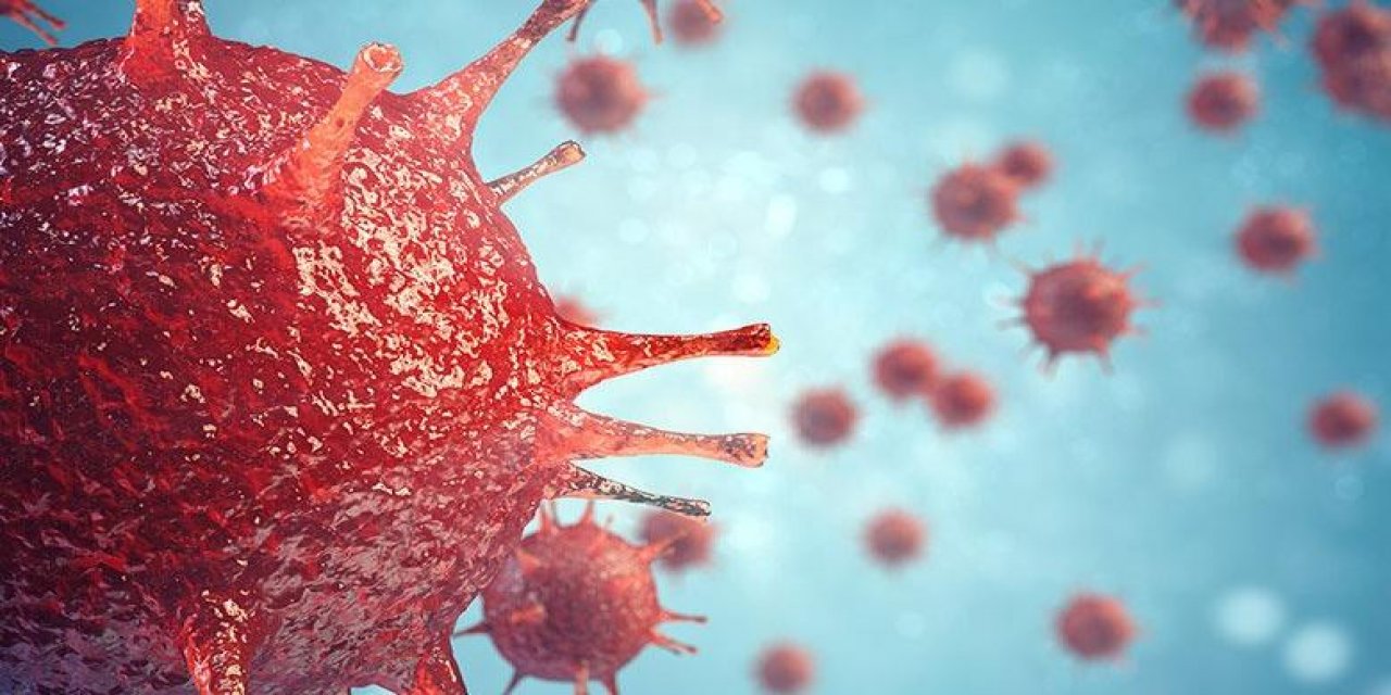 Çin'de ortaya çıktı! Bilim insanları duyurdu: Hiç bilinmeyen 28 farklı virüs tespit edildi