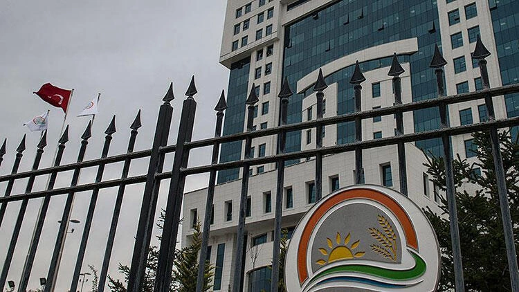 Bakanlığı karıştıran işten çıkarma! 'Mobbing ve tacizde bulundular'