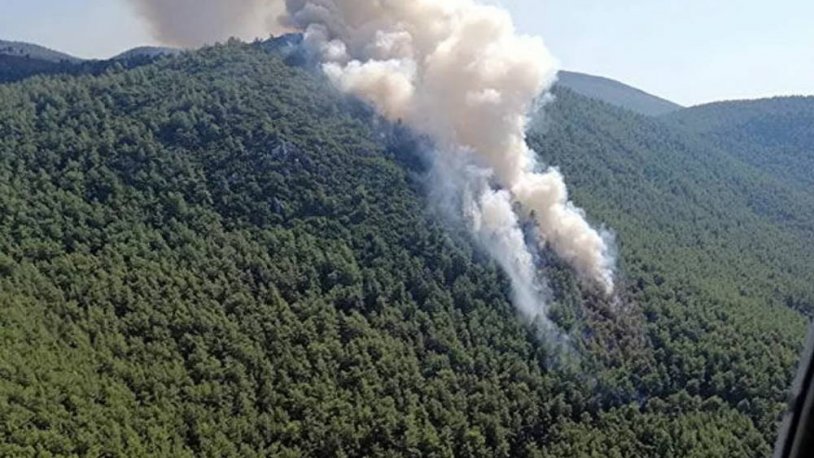 Muğla’daki orman yangını için açılan soruşturmada gelişme