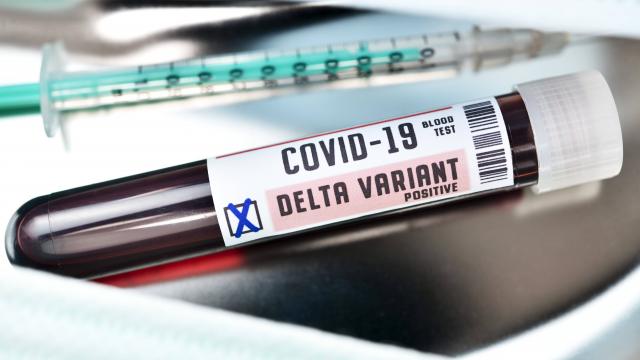 Umutla beklenen haber sonunda geldi! Delta varyantının sırrı çözüldü
