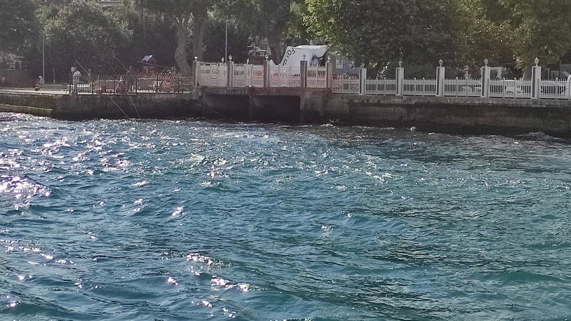 Bu kurban bayramında boğaz kana bulanmadı