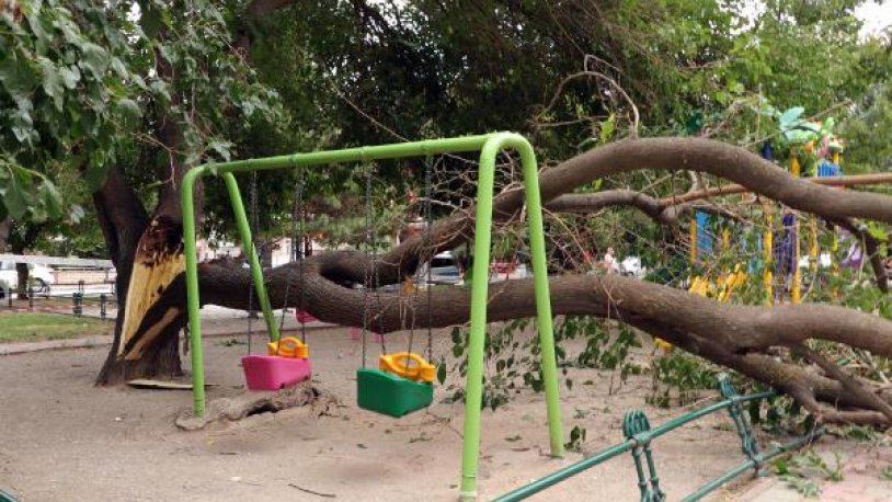 Çocuk parkında faciadan dönüldü!