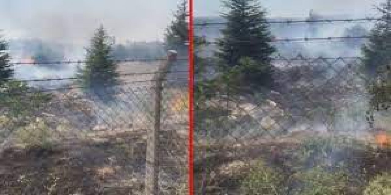 Ankara'da Atatürk Orman Çiftliği arazisinde yangın!