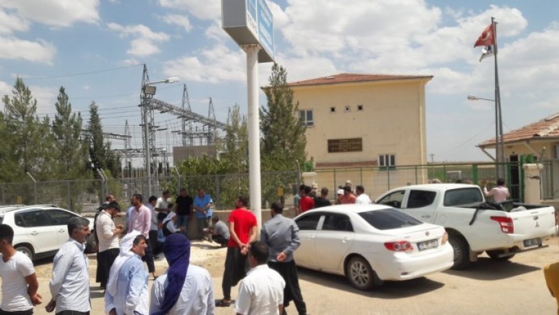 Çiftçiler artık dayanamıyor! Elektrikler gitti, TEİAŞ'ı bastılar