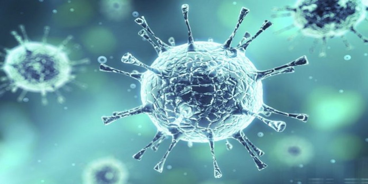 Bağışıklık sistemini güçlendiren 14 besin