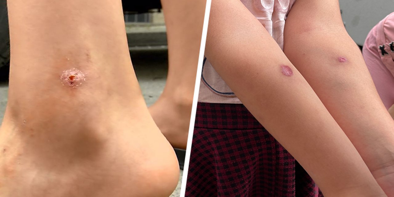 İstanbul'daki tehlike... Uzman isim vatandaşları uyardı! "Ölümcül olabilir"