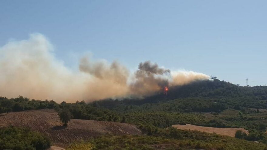 Bir orman yangını haberi de Osmaniye'den geldi