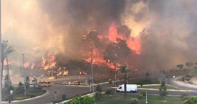 Sağlık Bakanı Koca'dan açıklama! Manavgat'ta çıkan yangından etkilenen kişiler hakkında bilgi verdi