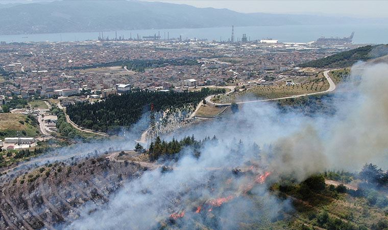 Bir kötü haber de Kocaeli’den! Orman yangını çıktı
