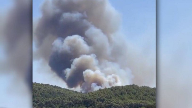 Bodrum'da ve Didim'de de orman yangını başladı! Alevler yerleşim noktasına yakın...