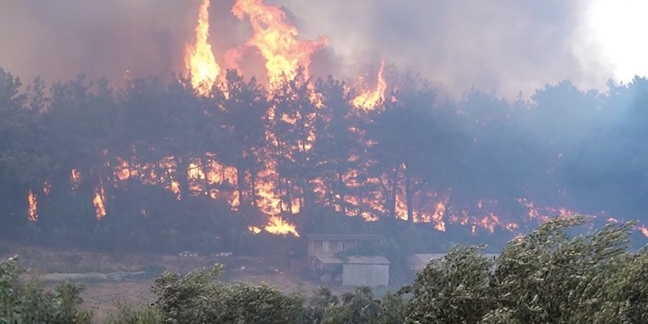 "Kıbrıs gezisine 8 uçak, Manavgat yangınına 2 uçak" CHP'li vekilden sert sözler!