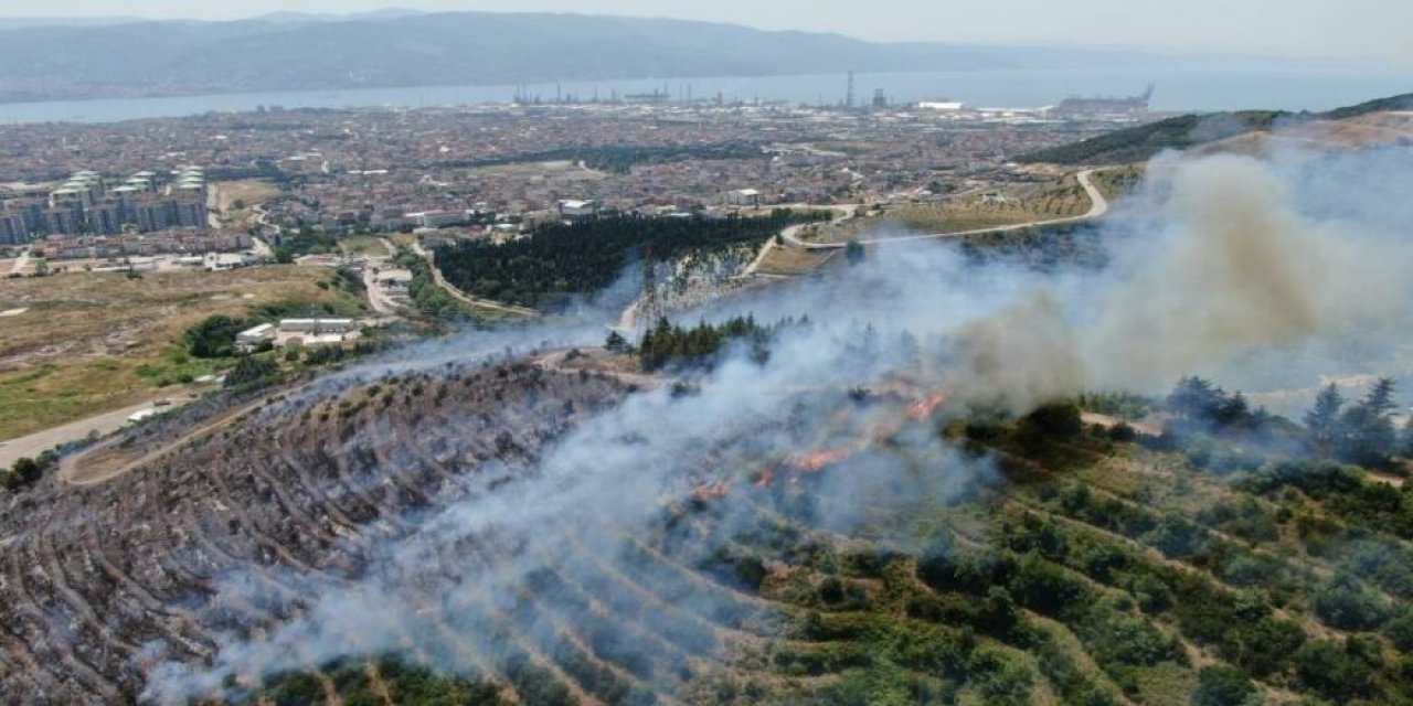 Kocaeli'de yangının çıkış nedeni belli oldu! Çevreyi temizlemek isterken 20 dönümlük ormanı yaktı!