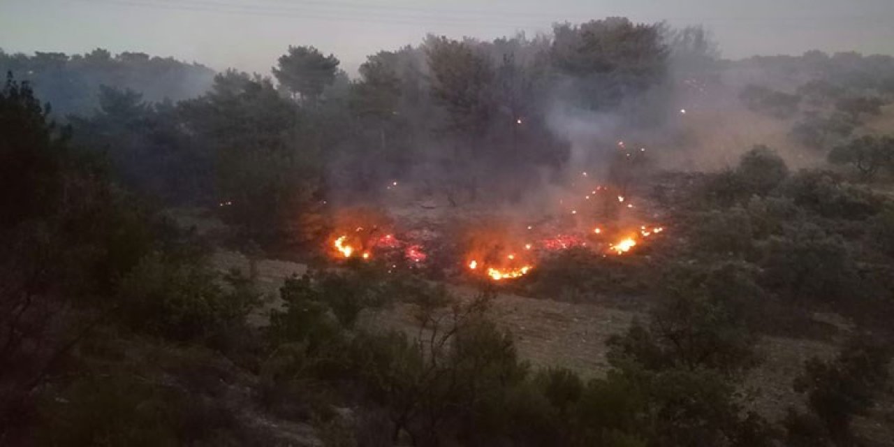 Bir tane daha... Manisa Soma'da orman yangını!