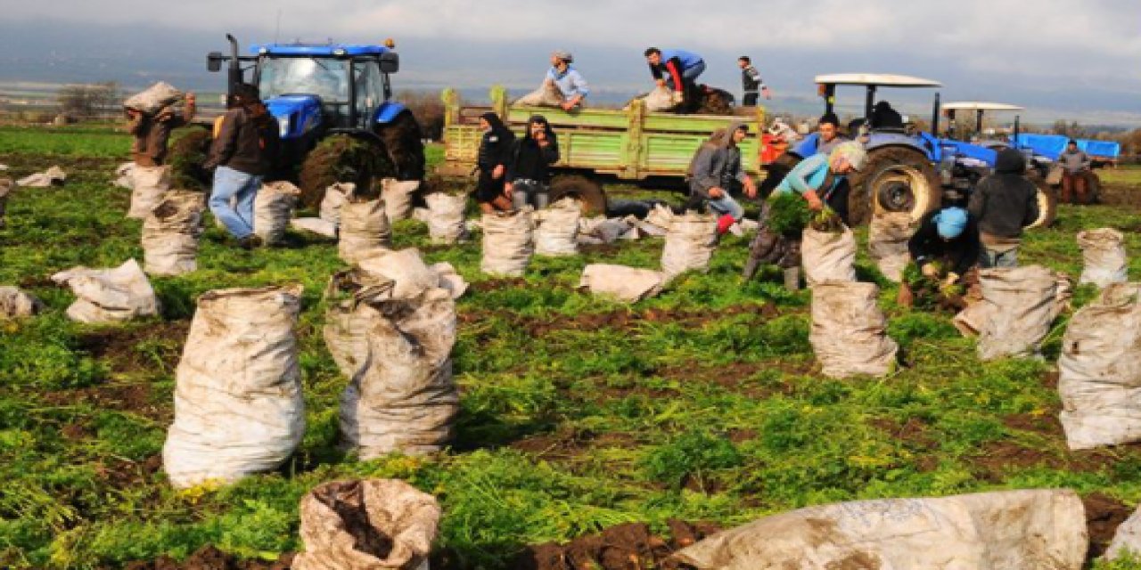"Devletin politikası adeta göz yummak olmuş" Türkiye ekonomisini ayakta tutuyor denilen Suriyeliler 16 saat çalışıyor...