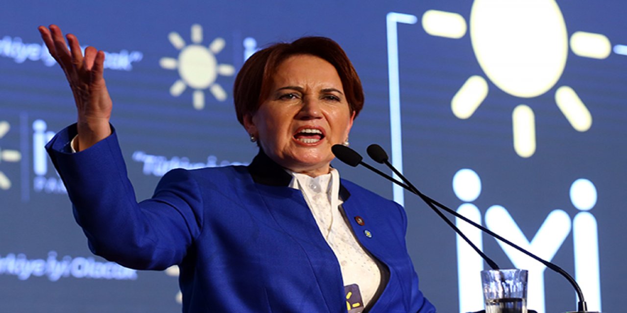"Beceriksizlikte bir dünya markası" Meral Akşener'den Bakan Pakdemirli'ye zehir zemberek sözler!