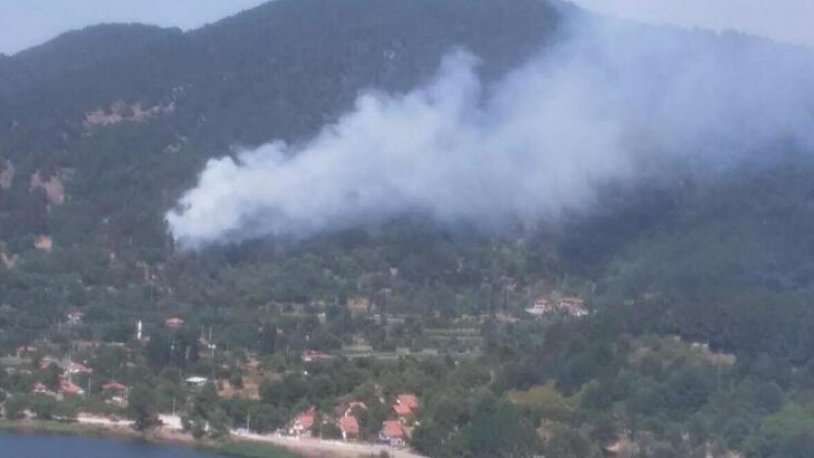 Türkiye'nin ciğerleri yanmaya devam ediyor! Orman yangınının adresi bu kez Ödemiş... İlk müdahaleyi vatandaşlar yaptı