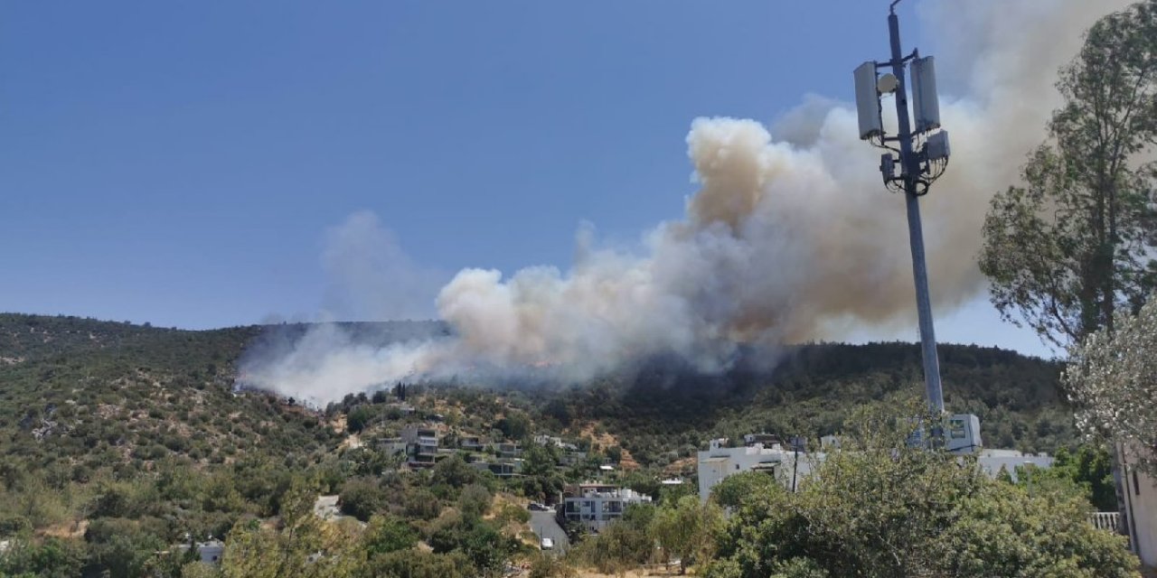 Bodrum’da bir yangın daha!