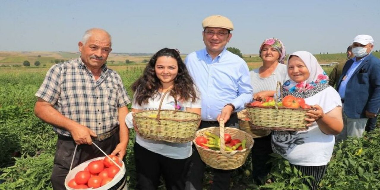 Ekrem İmamoğlu kasketi taktı; ilk hasadı çiftçilerle birlikte yaptı! Erdoğan'a "Kanal İstanbul" göndermesi...