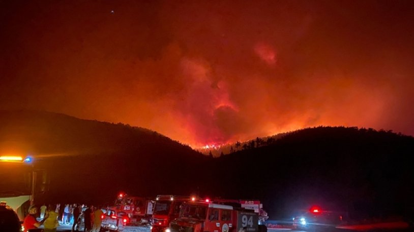 Bodrum'daki orman yangınında acı bilanço! 50 hektar makilik ve ormanlık alan zarar gördü