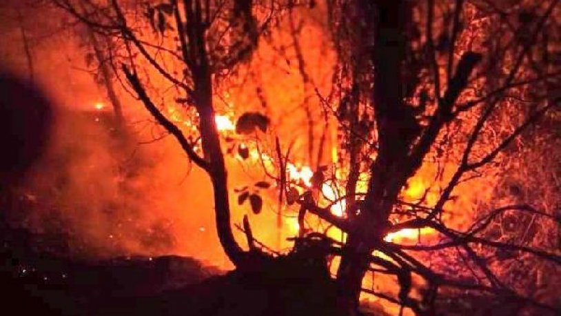Samsun'da orman yangını: 7 hektarlık alan zarar gördü