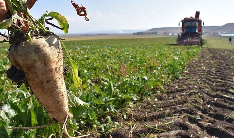 Yağma hız kesmeden devam ediyor! Çok sayıda ilde kamuya ait taşınmazın satışı onaylandı