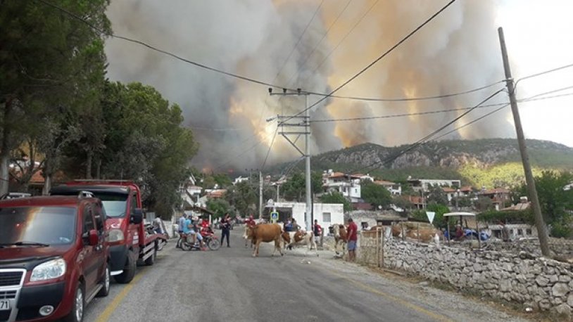 Milas'ta çıkan yangın yerleşim yerlerine sıçradı