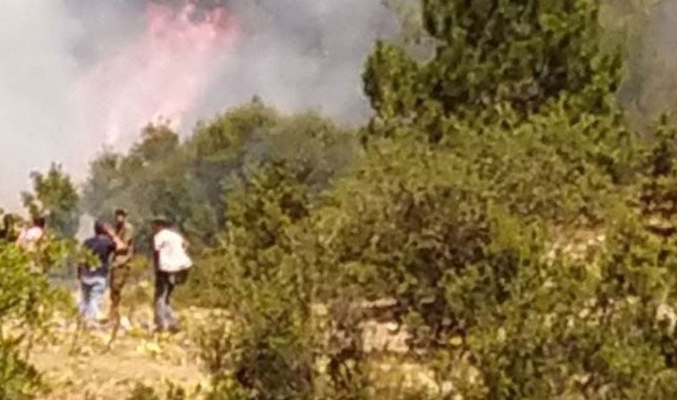 Denizli'de ormanlık alanda yangın çıktı