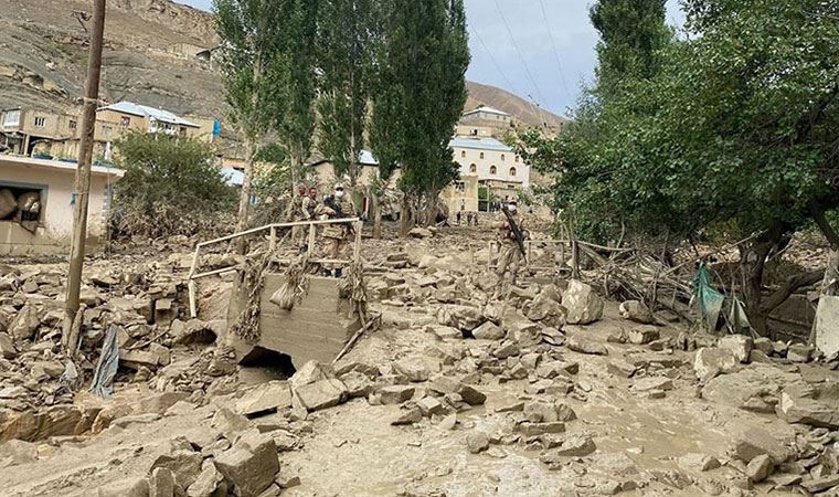 Van'da yaşanan felaketin ardından acı bilanço ortaya çıktı: 900 hayvan yaşamını yitirdi