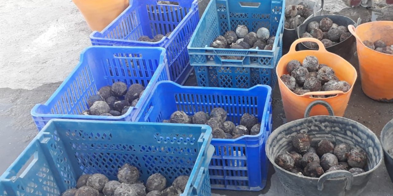 Diyarbakır'da, el bombası benzeri tarihi eserler bulundu