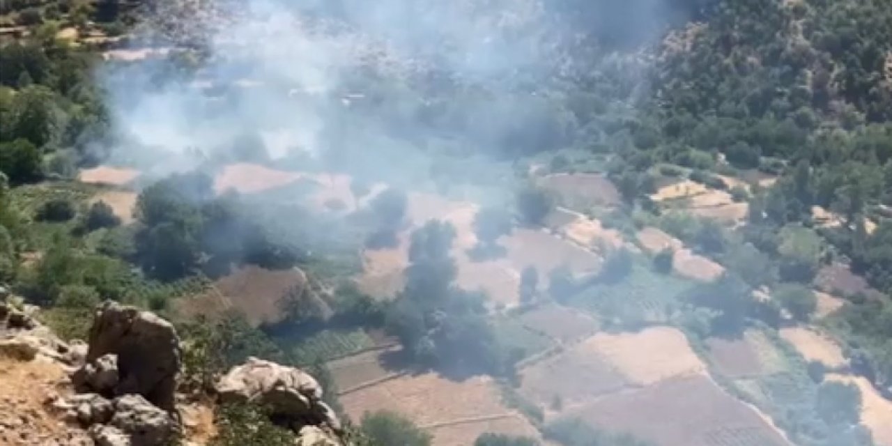 Elazığ'da nedeni belli olmayan  orman yangınına müdehale halktan geldi