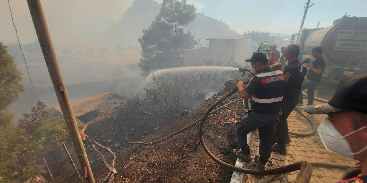 Marmaris'teki yangında 5'inci gün; 35 keçi yanmaktan kurtarıldı