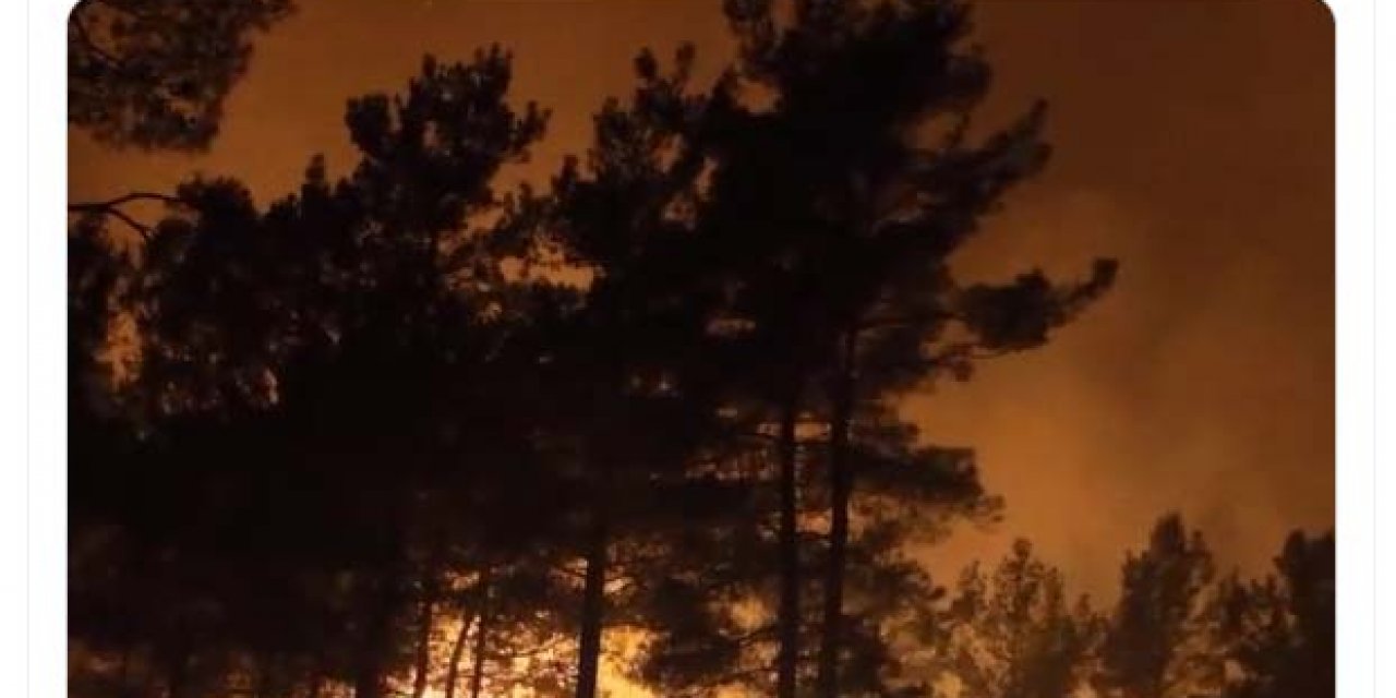 İletişim Başkanı Altun'dan yangın söndürme açıklaması