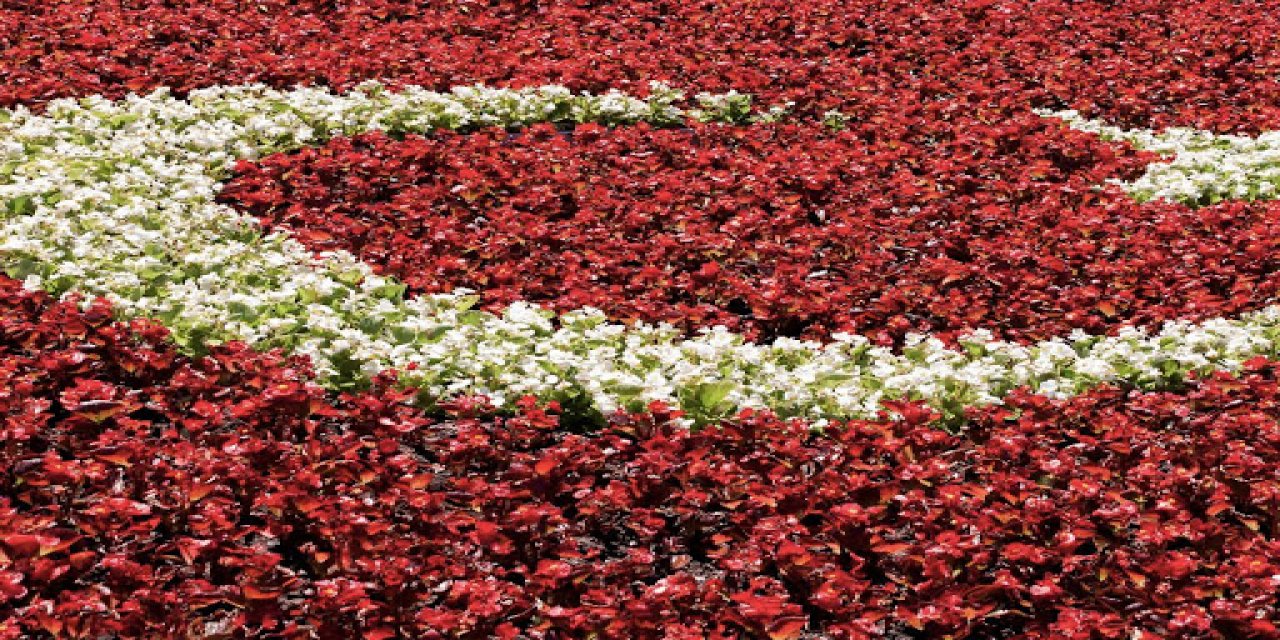 Yasaklar engelleyemez! Cumhuriyet 97 yaşında, yaşatacağız...