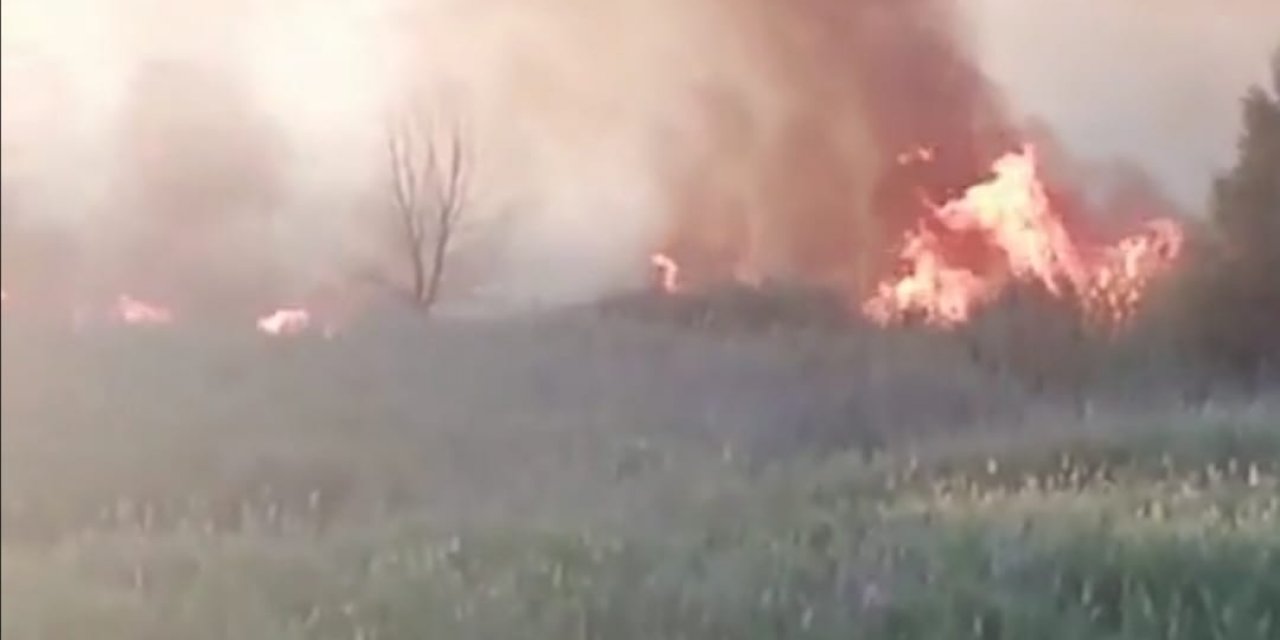 Nallıhan Kuş Cenneti'nde çıkan yangın kontrol altına alındı