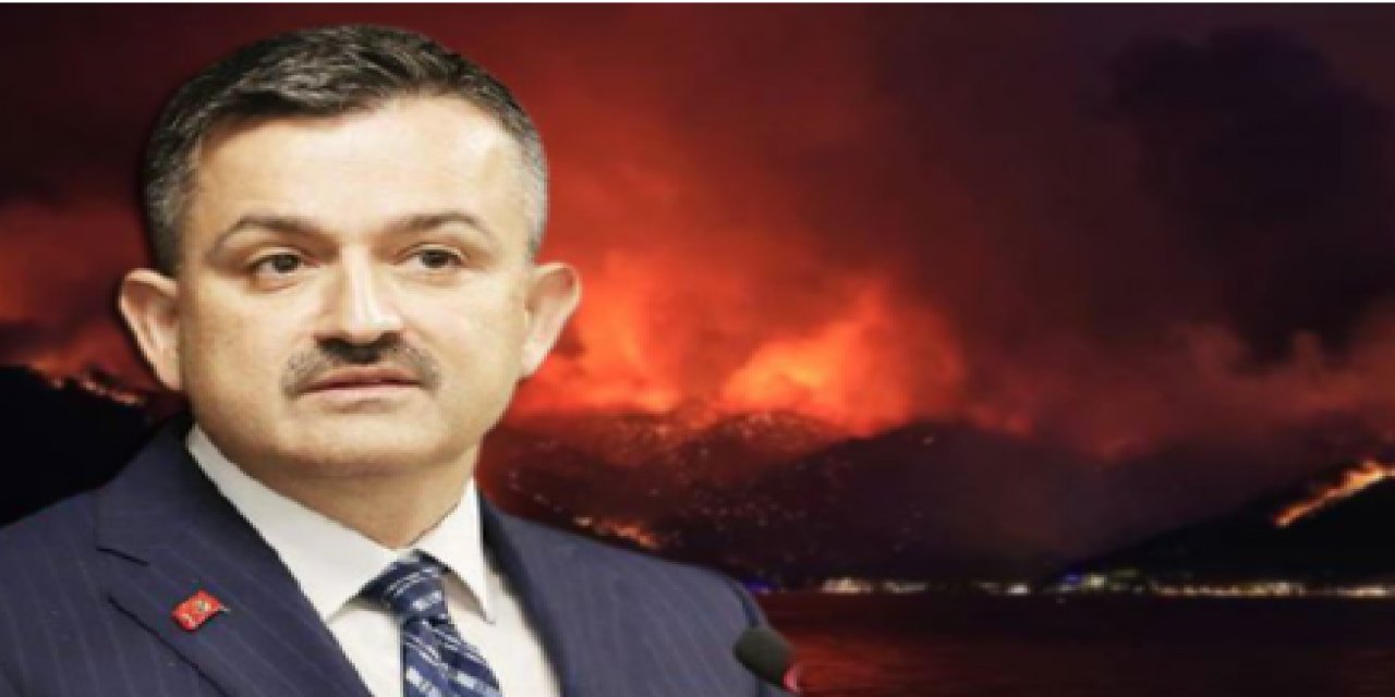 Yasalar Bakanlığı işaret ediyor ama... Bakan Pakdemirli belediyeleri sorumlu tuttu!