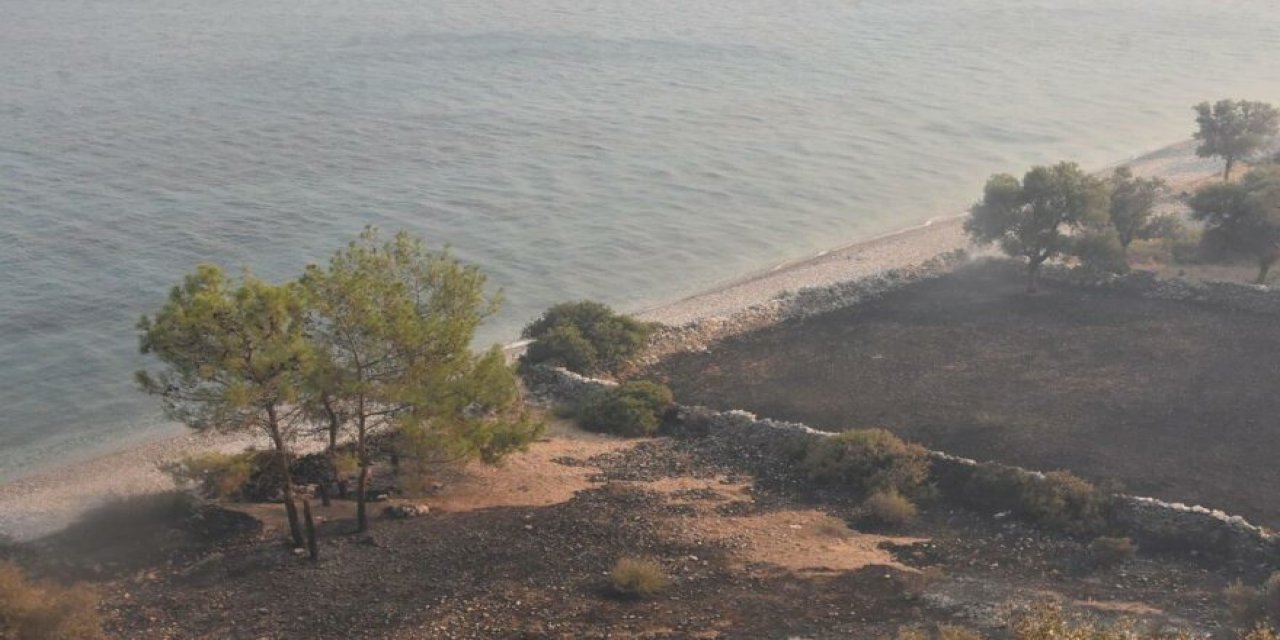 Çökertme sahilinin son hali yürek burktu!