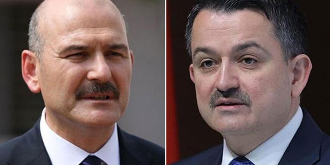 Neler oluyor? AKP'de yeni bir savaş mı başladı? Pakdemirli "Yangında sorumluluk belediyelerindir" Süleyman Soylu "Lütfen belediyelerle aramıza nifak sokmayın"