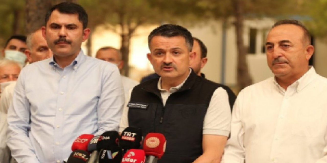 "Her şey apaçık ortada" T24 yazarından çarpıcı değerlendirme! "Paranız mı yoktu, aklınız mı?"