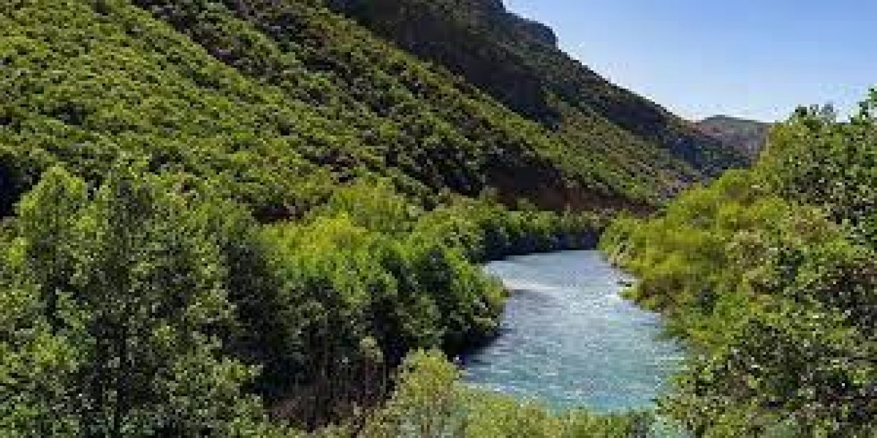 Bir ilde daha ormanlara giriş yasaklandı!