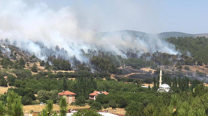 Uşak'ta arazi yangını ormana sıçradı