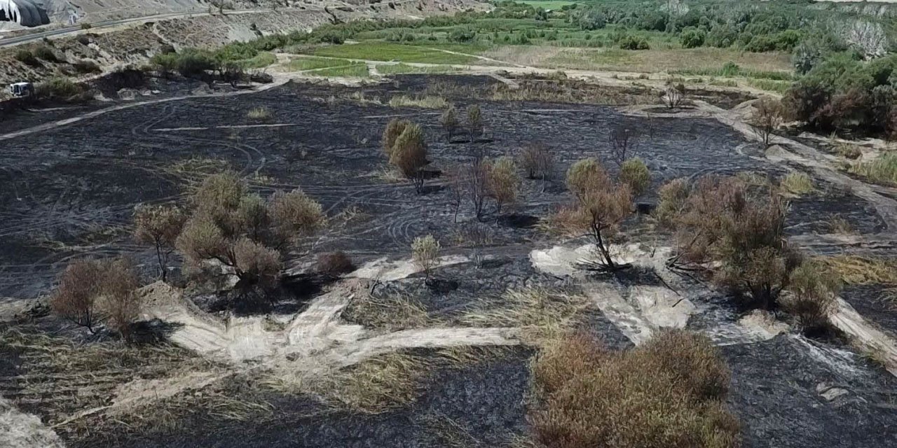 Nallıhan Kuş Cenneti sazlığındaki yangına kuş neden olmuş
