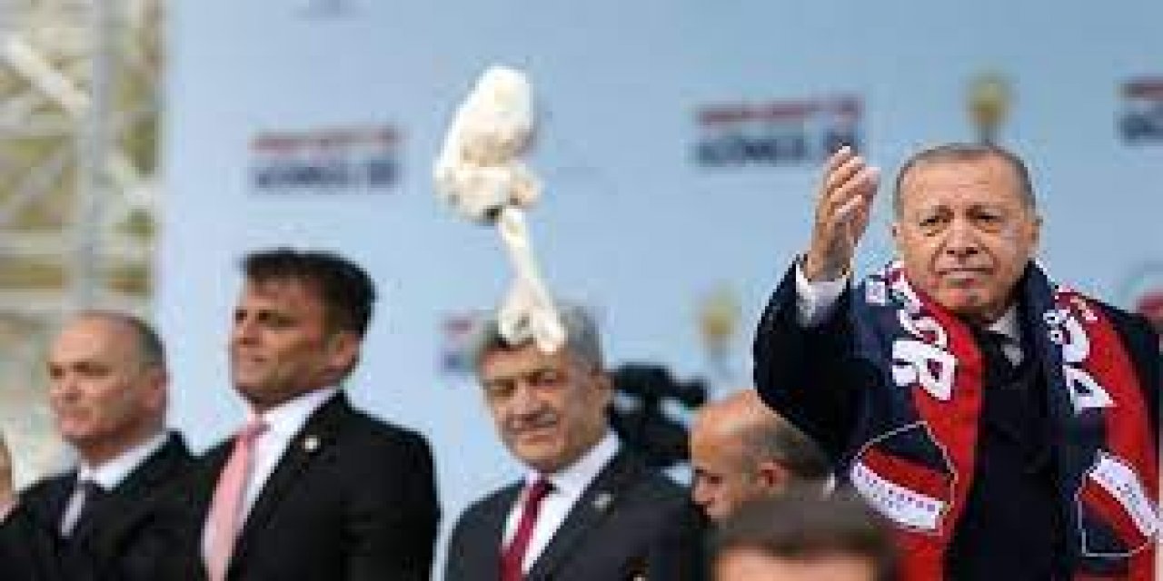 "Kağıttan bir kaplan" Saray havlu attı!